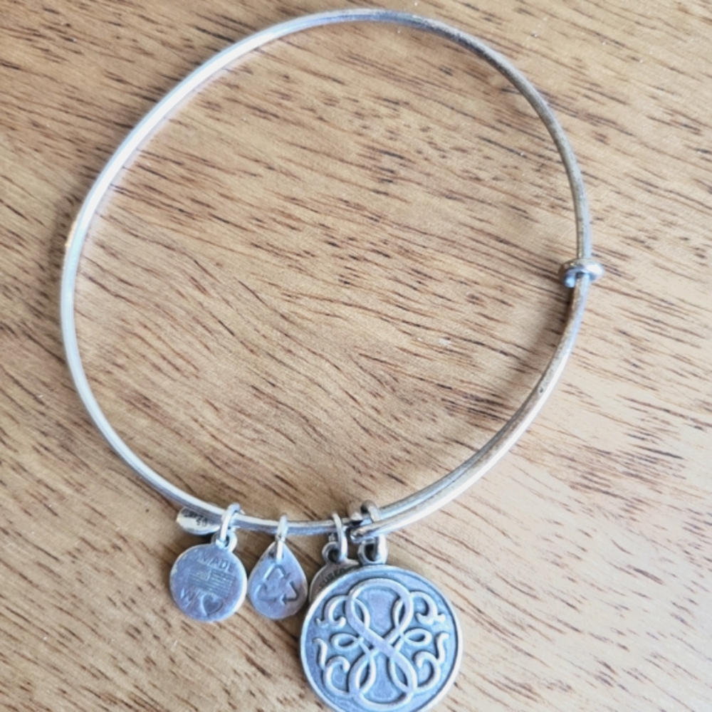 Alex and Ani Silver Charm Bracelet